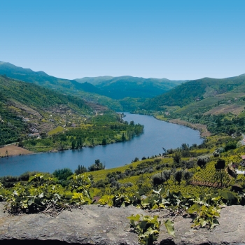 Vallée du Douro